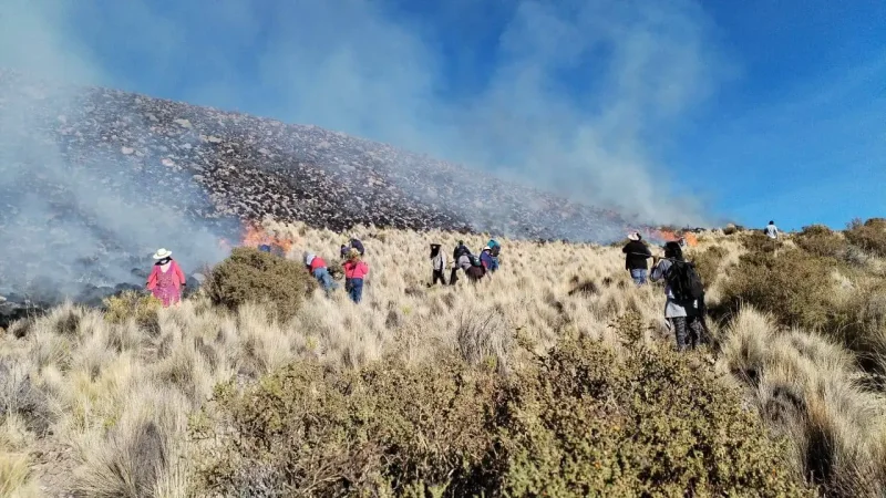 Potosí controla los dos incendios en esa región y descarta nuevos focos de calor
